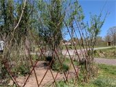 Bruno Sammartino Earth Day 2